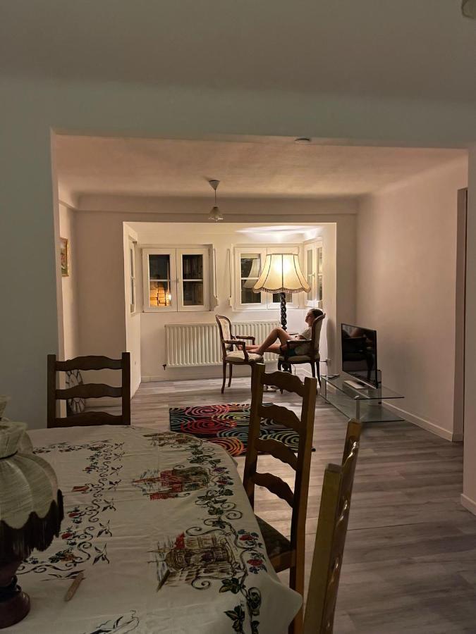 Au Bon Vieux Port Maison De Vacances Alsacienne A 10Mn De Ribeauville, Riquewihr Et Kaysersberg Sélestat Buitenkant foto