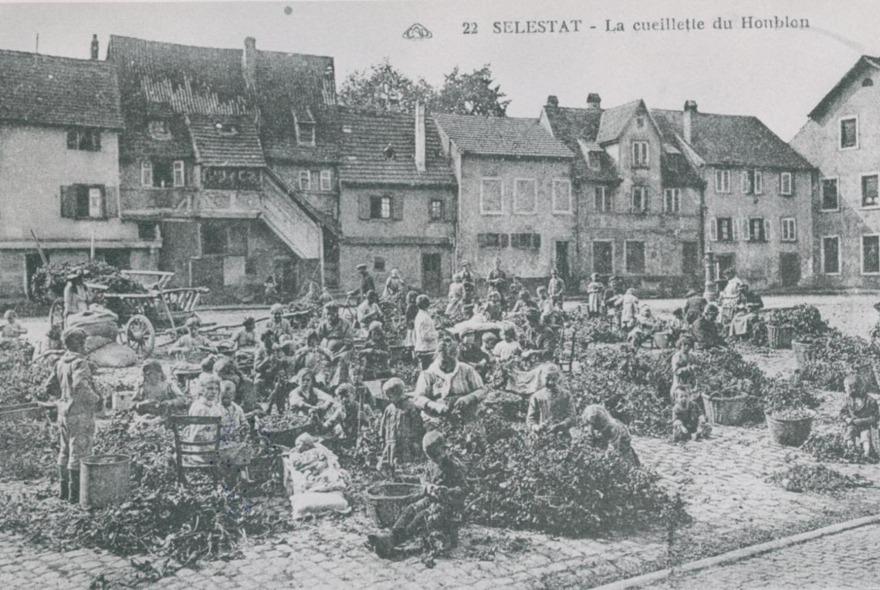 Au Bon Vieux Port Maison De Vacances Alsacienne A 10Mn De Ribeauville, Riquewihr Et Kaysersberg Sélestat Buitenkant foto