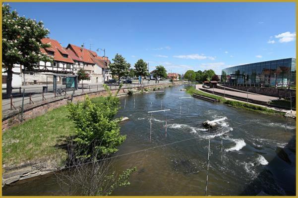 Au Bon Vieux Port Maison De Vacances Alsacienne A 10Mn De Ribeauville, Riquewihr Et Kaysersberg Sélestat Buitenkant foto